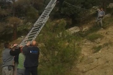 İnatçı keçi tellere takıldı