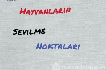 Hayvanları sevme kılavuzu