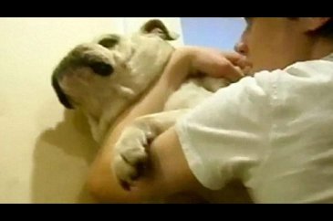 Köpeğe iğrenç işkence