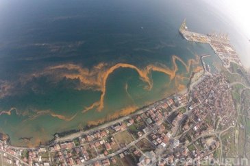 Tekirdağ sahilleri renk değiştirdi
