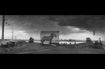 Burada bir zamanlar bir zebra yaşardı