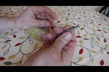 Patatesten oyuncak araba yaptı