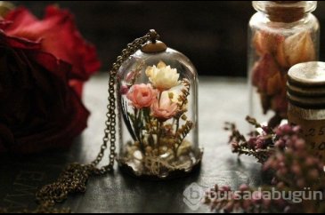 &#8203;20 fotoğrafla teraryumdan takılar
