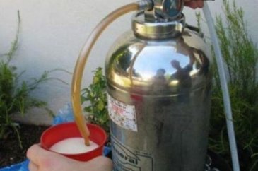 Yaratıcılıkta sınır tanımadılar
