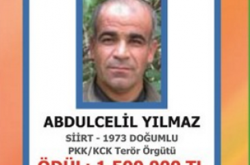 İşte aranan Siirtli teröristler!	