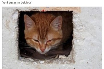 Bu üniversite mezun vermiyor