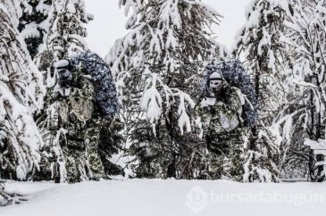 Bu fotoğrafların hepsi gerçek
