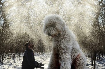 Dev köpeği ile hayallerini yaşıyor!
