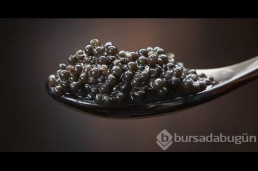 Nadir bulunan ve en pahalı gıdalar