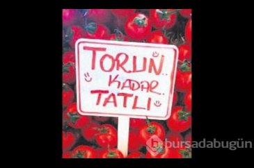 Bu yazıları görenler şaştı kaldı!
