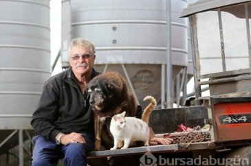 Dünyanın en yaşlı köpeği öldü