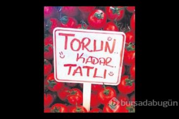 Kilo kilo şiir!