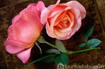 Peygamber efendimiz üzüldüğünde ne yapardı?