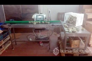 Antalya'da ton balığı skandalı!