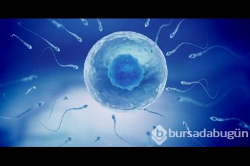 Deri hücresinden sperm üretildi