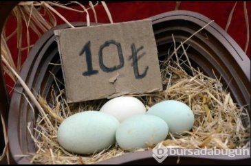 Bu yumurtaların tanesi 10 lira