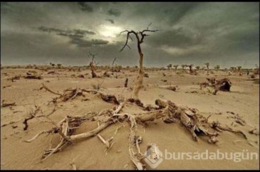 Küresel ısınma 500 milyon kişiyi tehdit ediyor