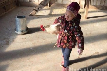 Orman okullarından o kareler
