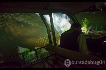 Çin'de Evrensel Sihir Dünyası