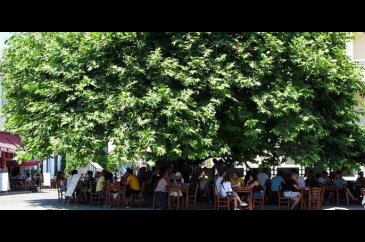 Ege'nin bu güzelim yeri Bozcaada'yı 20 adımda keşfedin