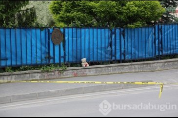 Oyuncak ayı patlatılmaktan kurtuldu
