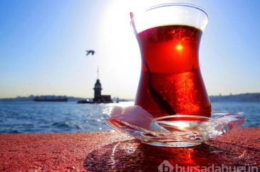 Çayın bahçeden demliğe "zorlu" yolculuğu