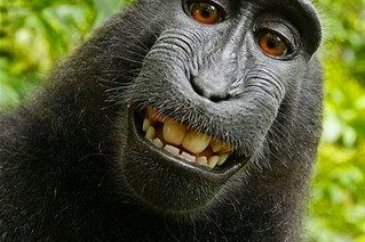 Unutulmaz selfieler