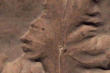Google Earth'e yansıyan sıradışı görüntüler
