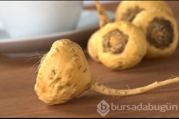 Gençliğin sırrı bu bitkide!