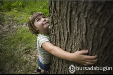 Dokunduğunuzda neler oluyor?