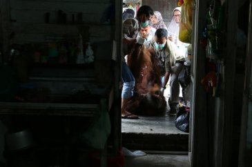 20 yıl sonra özgürlüğüne kavuştu