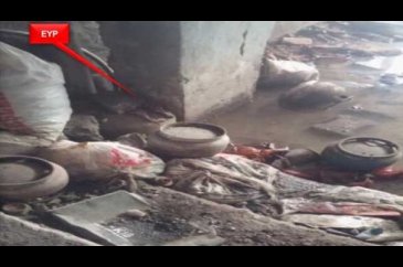 Şırnak'ta PKK'nın cephaneliği ve reviri bulundu
