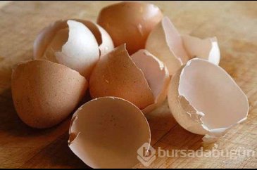Dikkat!
Kabuğunu sakın çöpe atmayın!