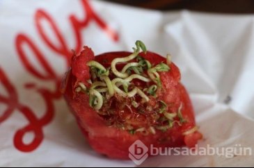 "Korkulacak bir şey yok, stresten!"