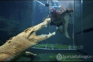 Adrenalin tutkunlarının sınırları zorladığı 165 dolarlık tehlikeli ...