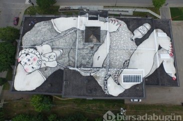Duvarlar yetmeyince sanat için çatılara çıktılar