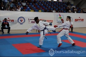 Türkler 11 kategoride finalde