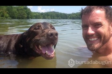 3 aylık ömrü kalan labradorla sahibinin veda tatili...