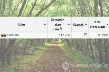 Dünyanın en yeşil ülkeleri sıralaması