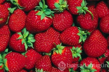 Besinler cinsiyete göre farklı etkiler gösteriyor