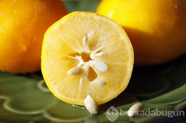 Limonlu suyun faydaları