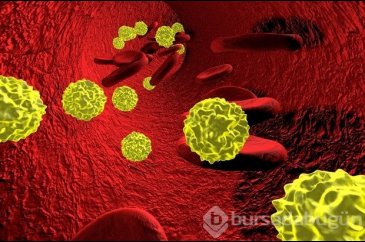 Hepatitden korunma yolları