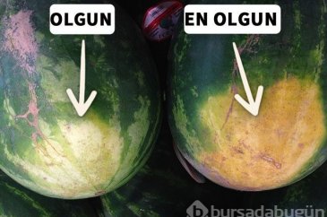 Karpuz alırken neye dikkat etmelisiniz?