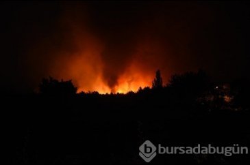 İzmir'de korkutan yangın