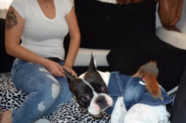 Yavru sincap ile köpek sıkı dost oldu