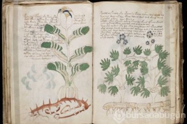 Tarihin en gizemli 10 el yazması