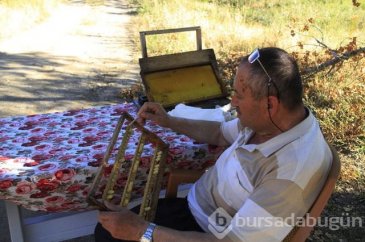 'Biz bunu inekten değil sinekten sağıyoruz'