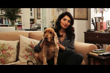 Ünlü oyuncuya köpek tartışmasında ceza