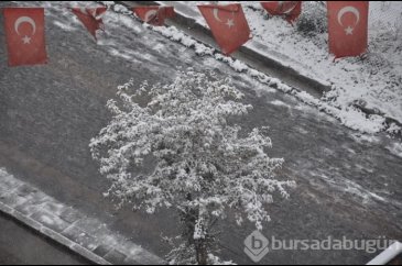 Yurttan kar manzaraları
