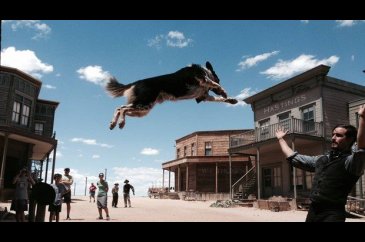 Hollywood'un en akıllı köpeği